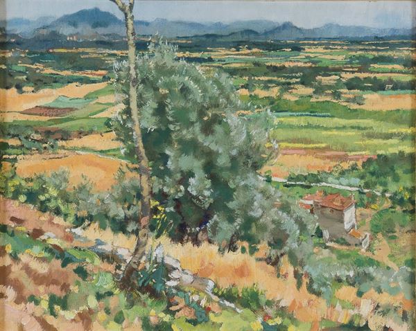 VEDUTA DEI MONTI AURUNCI DI EDUARDO PANSINI