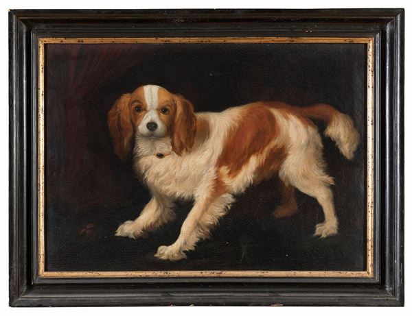 RITRATTO DI UN CAVALIER KING