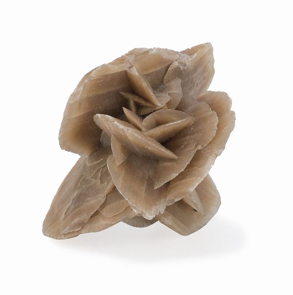 ROSA DEL DESERTO