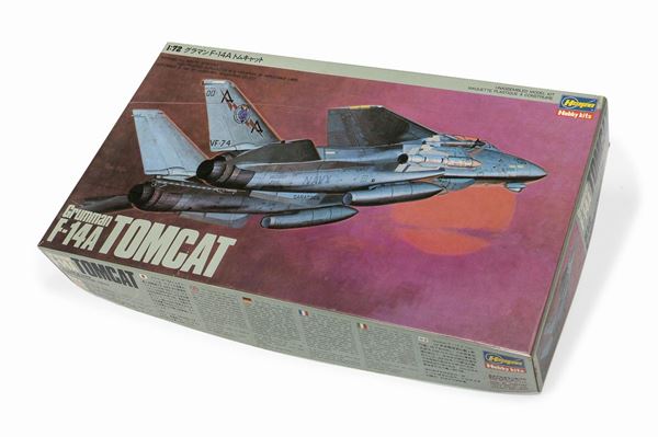 AEREO DA CACCIA F14 HASEGAWA