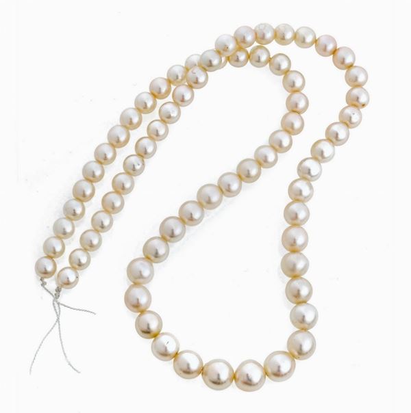 COLLANA DI PERLE