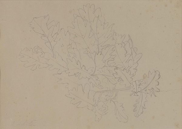 DISEGNO FOGLIE DI EDITA BROGLIO