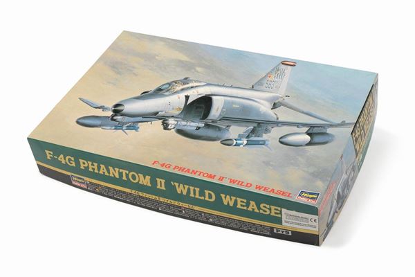 WILD WEASEL HASEGAWA