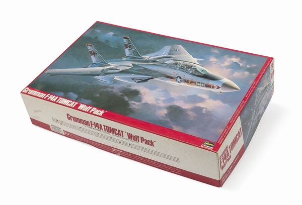 TOMCAT HASEGAWA