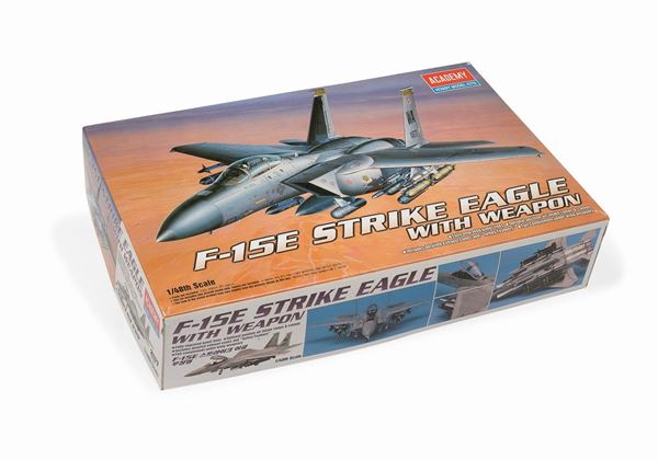STRIKE EAGLE ACADEMY