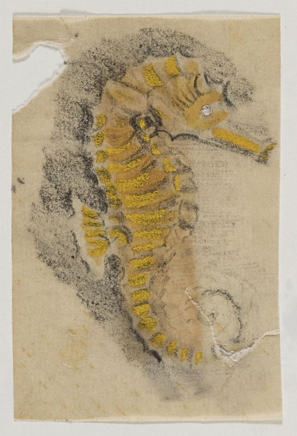 TECNICA MISTA E CALCO DI GIULIO ZANCOLLA