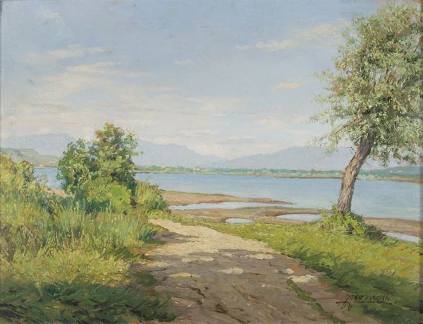 PAESAGGIO DI LUIGI COMOLLI