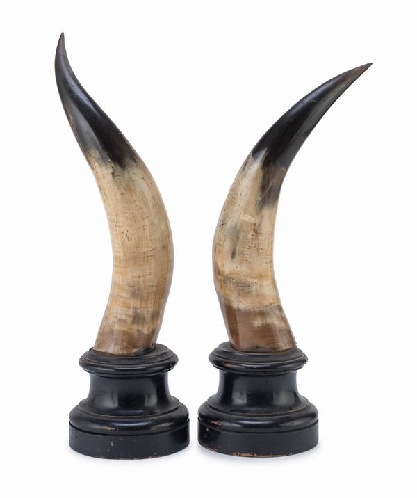 COPPIA DI CORNI CON BASE IN LEGNO