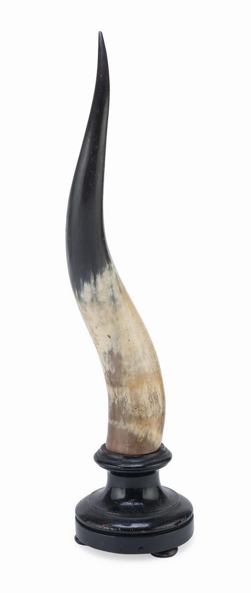 CORNO CON BASE IN LEGNO