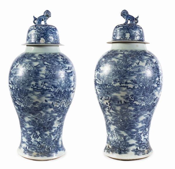COPPIA DI POTICHES PORCELLANA BIANCO E BLU CINA