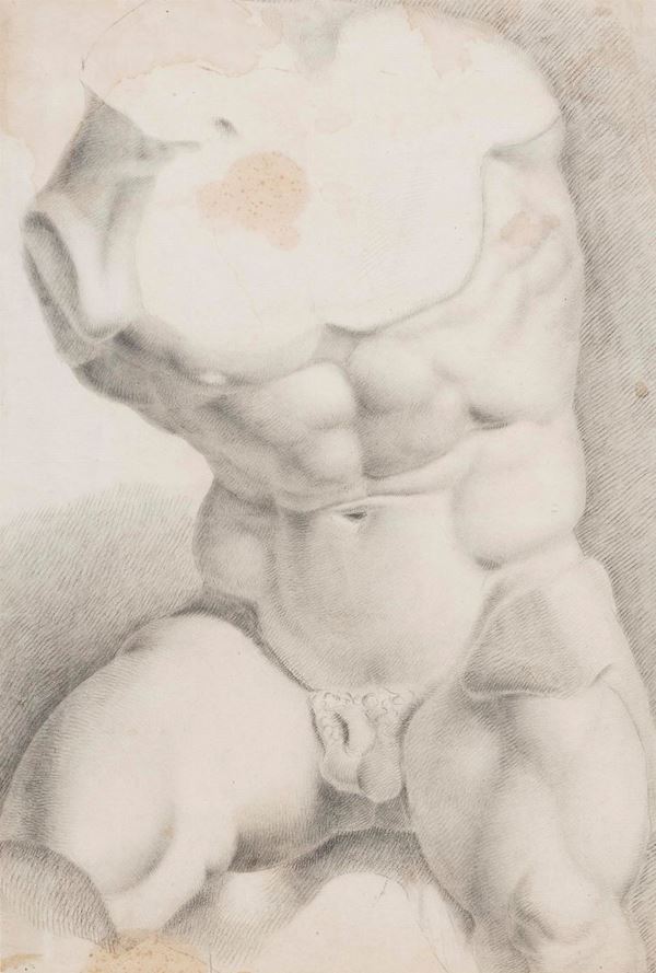 DISEGNO TORSO DEL BELVEDERE