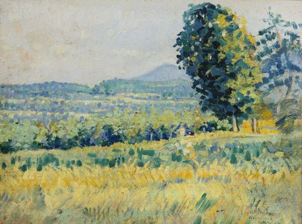 DIPINTO CAMPO F.TO WOODSTOCK