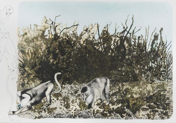 LITO FLORA E FAUNA F.TA GUARIENTI
