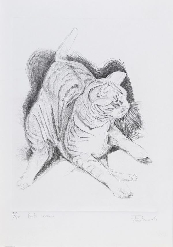 NOVE PUNTESECCHE GATTO