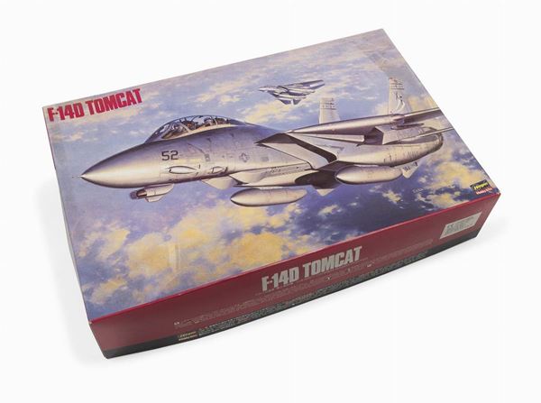 TOMCAT HASEGAWA