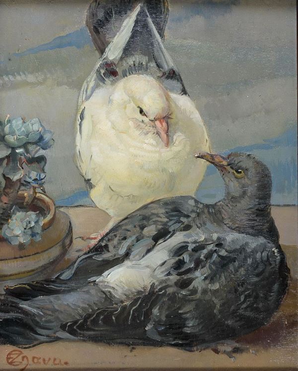 DIPINTO PICCIONI DI EMILIA ZAMPETTI NAVA