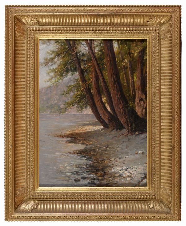 ALBERI PRESSO LA RIVA DI GIUSEPPE CARELLI