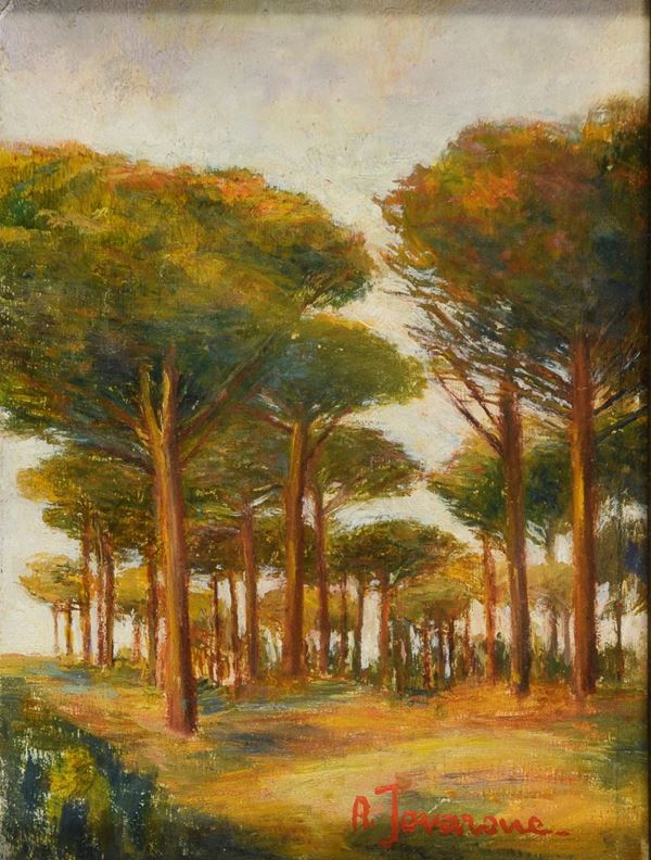 DIPINTO PINETA F.TO JAVARONE