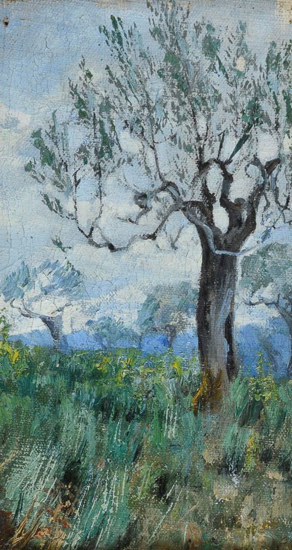 DIPINTO ULIVO DI DOMENICO GIACINTI