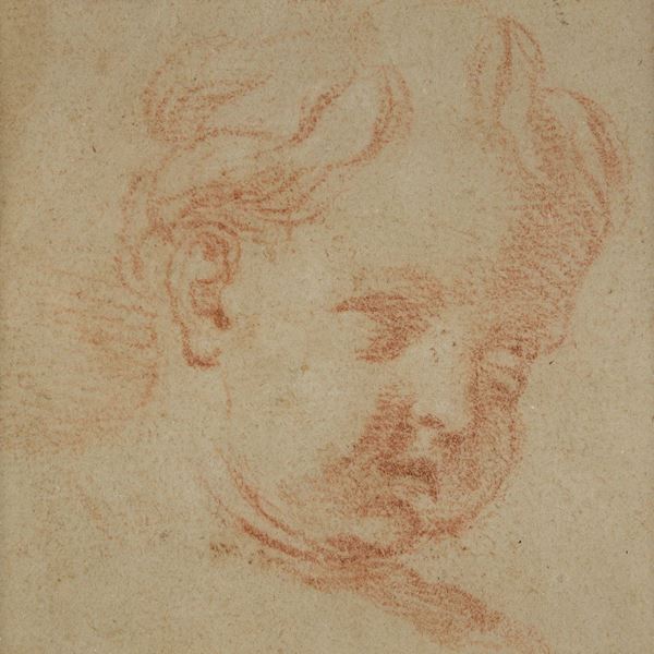 SANGUIGNA TESTA DI AMORINO ATTRIBUITA AD ELISABETTA SIRANI