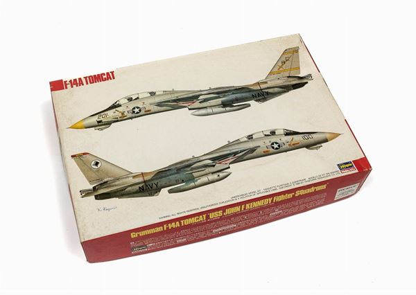 TOMCAT HASEGAWA