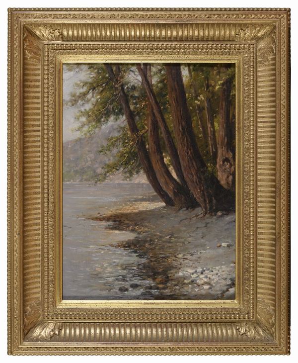 ALBERI PRESSO LA RIVA DI GIUSEPPE CARELLI