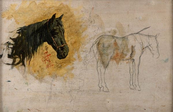 STUDI DI CAVALLO DI GIUSEPPE AURELI