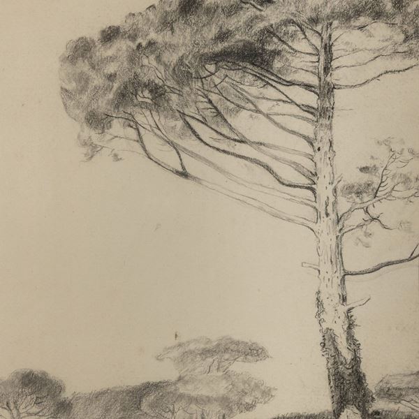 DISEGNO A CARBONCINO VEDUTA DI VILLA CON PINI