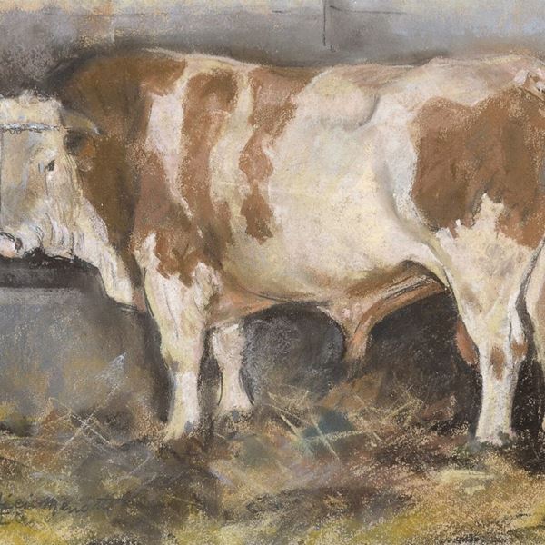 ACQUERELLO MUCCA DI PERTICI MENOTTI