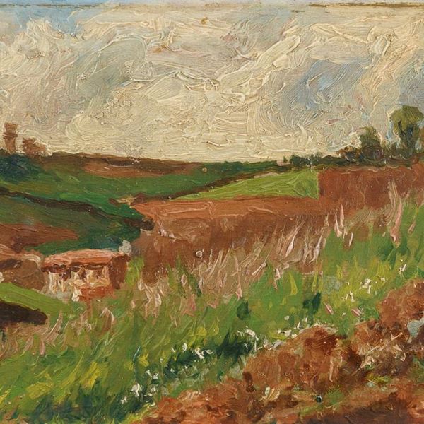 DIPINTO COLLINE