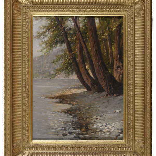 ALBERI PRESSO LA RIVA DI GIUSEPPE CARELLI