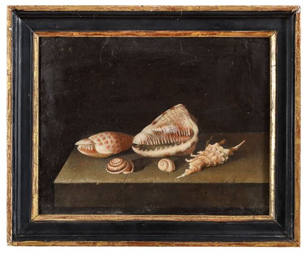 DIPINTO CONCHIGLIE DELLA MANIERA DI BALTHASAR VAN DE AST