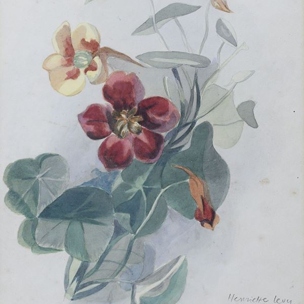 QUATTRO ACQUERELLI FIORI DI HENRIETTE LEVY