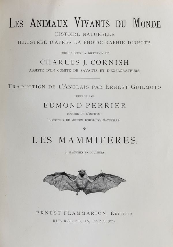 UN VOLUME I MAMMIFERI