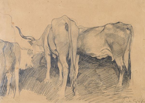 CARBONCINO BUOI DI PAULO GHIGLIA