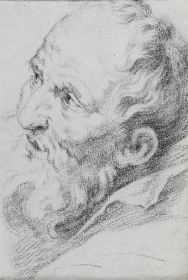 DISEGNO TESTA DI ANZIANO