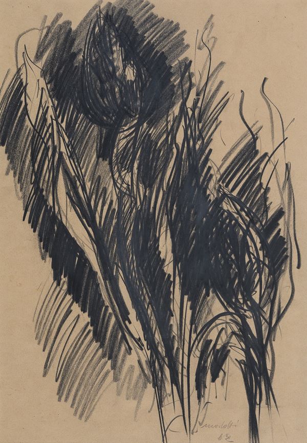 CARBONCINO TULIPANO DI ENNIO MORLOTTI
