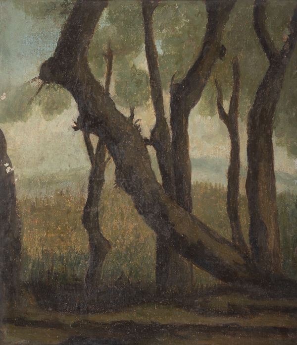 COPPIA DIPINTI ALBERI, XIX SECOLO