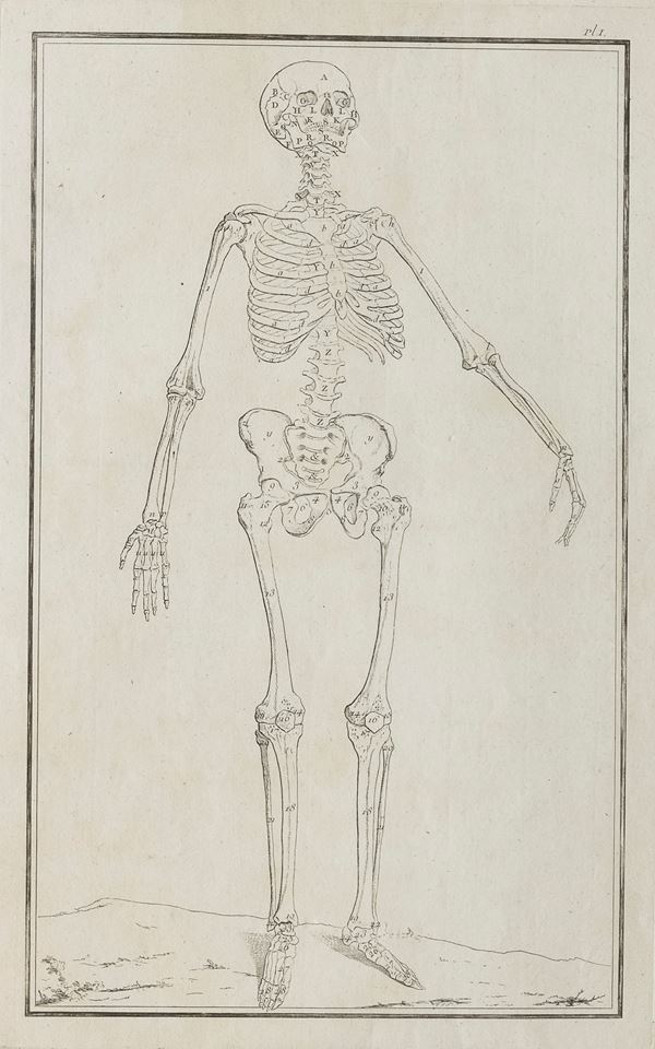 QUATTRO FOGLI SCIOLTI DI OSTEOLOGIA