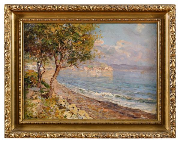 PAESAGGIO COSTIERO F.TO M. BIONDI