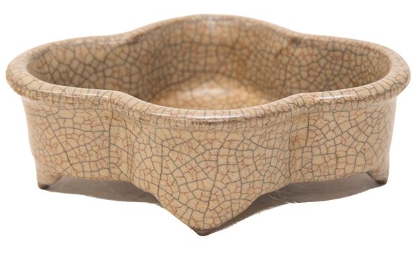 VASCHETTA IN CERAMICA CELADON, CINA INIZI XIX SECOLO