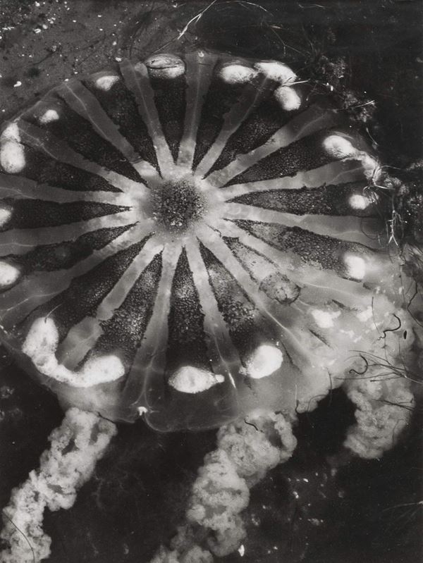 STAMPA AI SALI D&#39;ARGENTO DI HAROLD MILLER NULL
