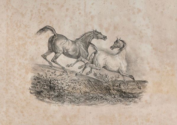 COPPIA INCISIONI SOGGETTO EQUESTRE